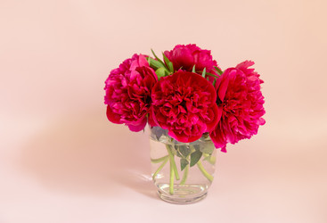 Similar image 21516924