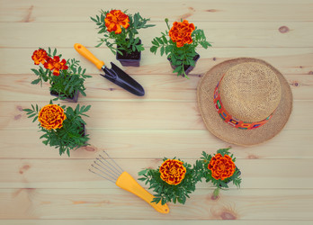 Similar image 21516932