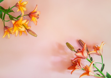 Similar image 21516936