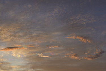 Similar image 21516938