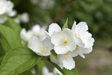 Similar image 21517908