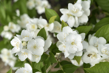 Similar image 21517911