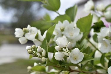 Similar image 21517912