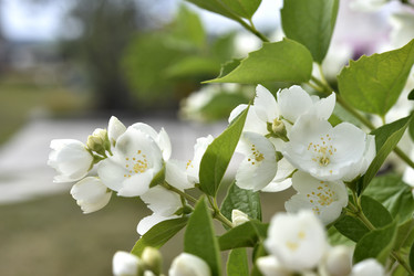 Similar image 21517913