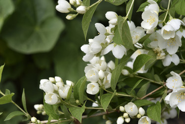 Similar image 21517914