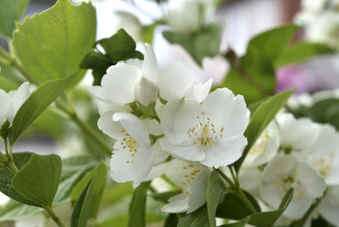 Similar image 21517915