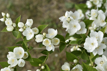 Similar image 21517917