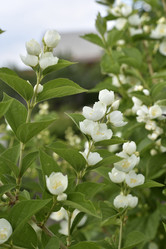 Similar image 21517918