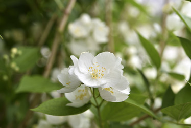 Similar image 21517919