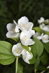 Similar image 21517921