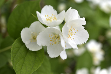 Similar image 21517922