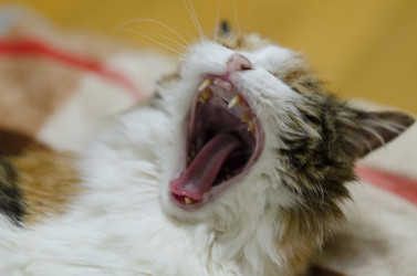 Similar image 21519898