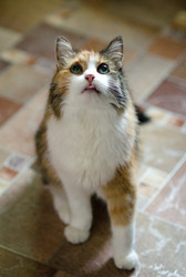 Similar image 21519899