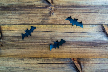 Similar image 21517937