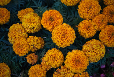 Similar image 21516946