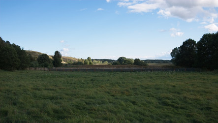 Similar image 21516950