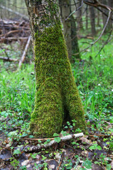 Similar image 21517100