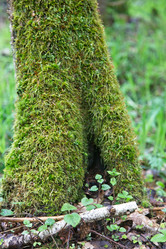 Similar image 21517102