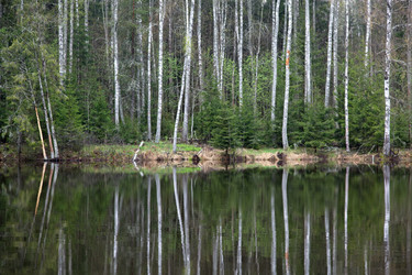 Similar image 21517105