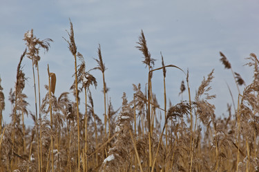 Similar image 21517111