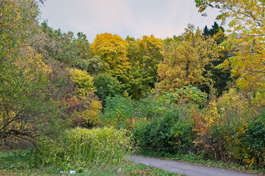 Similar image 21517115