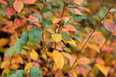 Similar image 21517117