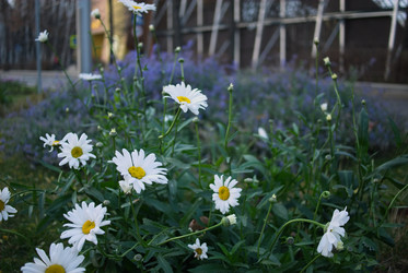 Similar image 21517129