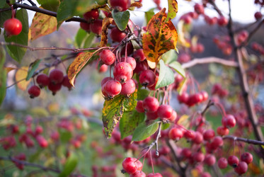 Similar image 21517139