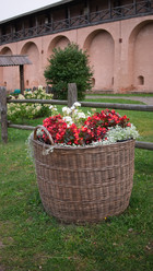 Similar image 21517140