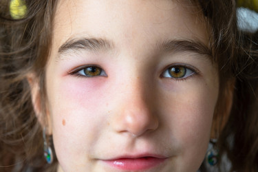 Similar image 21519583