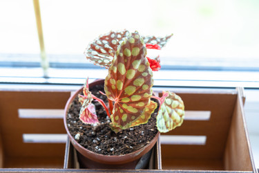 Similar image 21519658