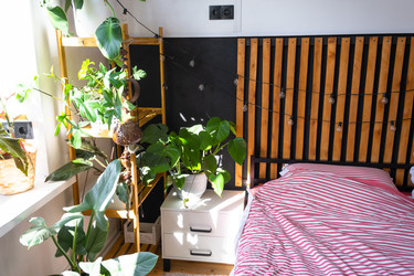 Similar image 21519676