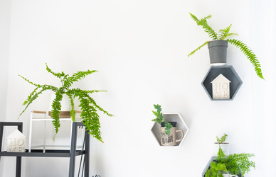 Similar image 21519170