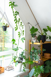 Similar image 21519186