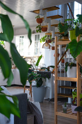 Similar image 21519199