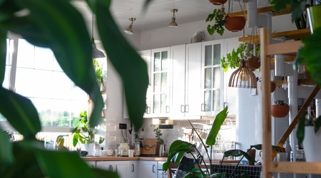 Similar image 21519204