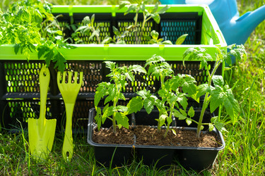 Similar image 21519205