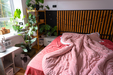 Similar image 21519207