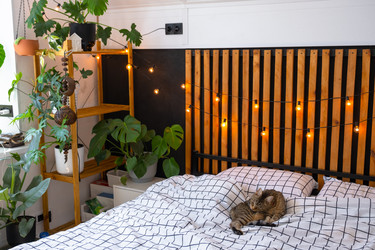 Similar image 21519219