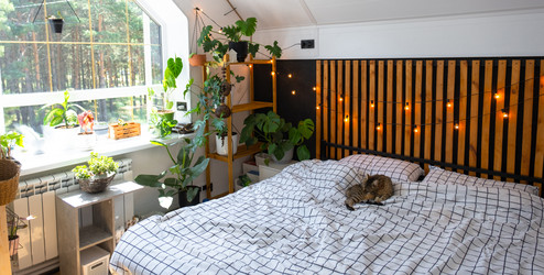 Similar image 21519221