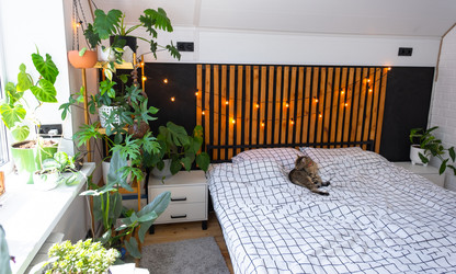 Similar image 21519227