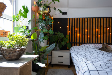 Similar image 21519229