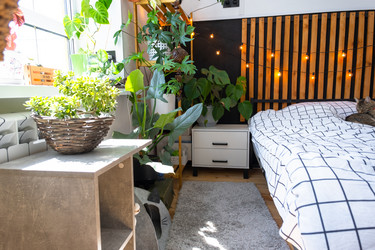 Similar image 21519232