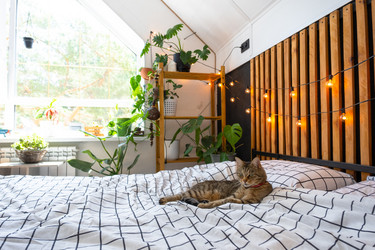 Similar image 21519236