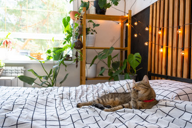 Similar image 21519237