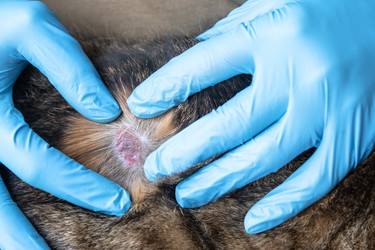 Similar image 21519258