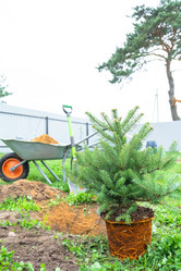 Similar image 21519678