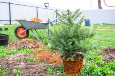 Similar image 21519679