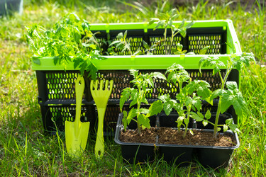 Similar image 21519691