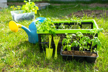 Similar image 21519692